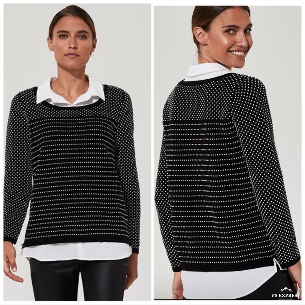 Karl Lagerfeld Black and White Dot-Stripe Knit Sweater